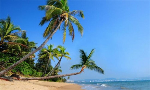 舒芙蕾法式甜点