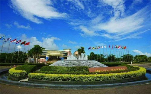 撒椒鱼酸菜鱼米饭