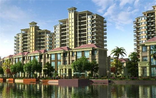 有芝青年芝士焗饭