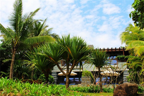 筋头巴脑香锅米饭