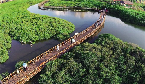 巧仙婆砂锅焖鱼饭快餐