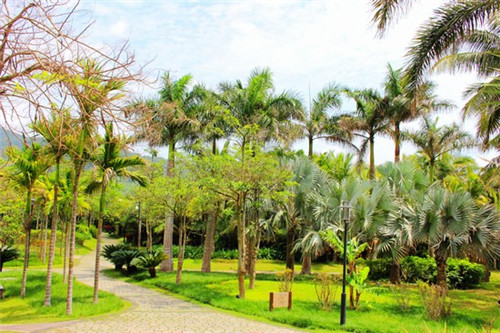 饼器时代掉渣馅饼