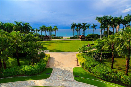 NMN10大品牌