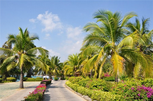 锡灯传统灯具（老锡灯台价格）