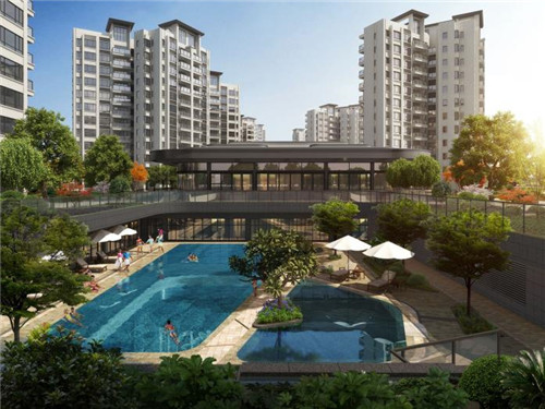 炒鲅鱼卷大葱怎么炒（鲅鱼炒着吃的做法）