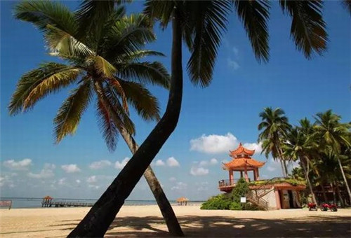 资本成本是什么意思（啥是资本成本）