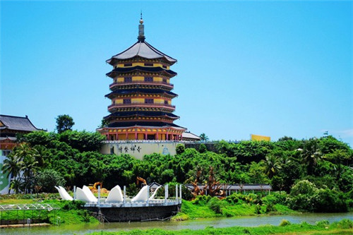 打篮球十大秘诀是什么呢（有哪些打篮球必备的技巧）